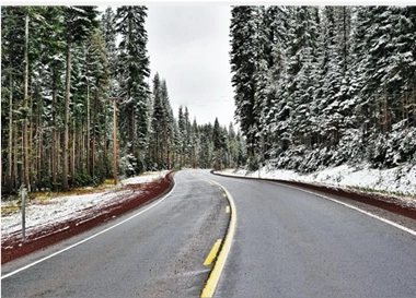 A wintry forest road with snow-covered trees and a snowy path.