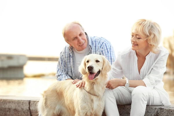 An elderly couple sitting on a curb with their loyal dog by their side